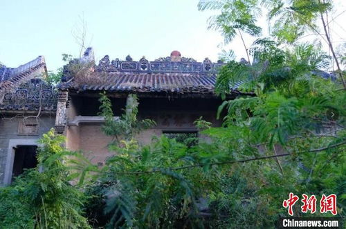 美籍华人江门寻根 为古祠 新生 奔走