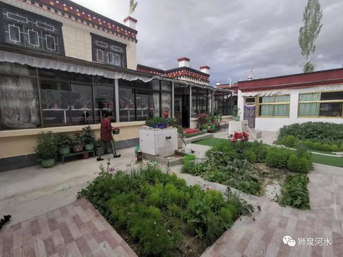 住在古格城堡脚下的村庄,如同走进世外桃源