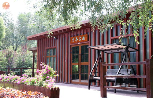 探访乌拉泊古城考古发掘现场 聚力新目标创新公众考古体验 让千年回响可触可感