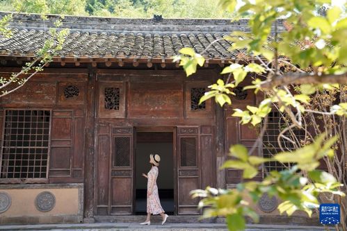 嘉陵江畔千年银杏唤醒古村文旅新篇