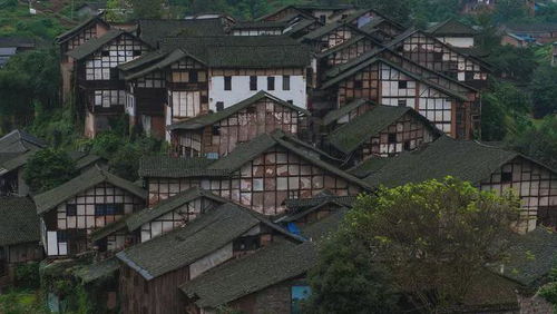 低调小众神秘 比丽江清净,比乌镇淳朴,四川被遗忘的古镇该火了