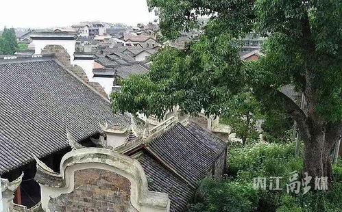场镇建设管理提升丨铁佛镇 以 三好 标准绘就千年古镇新画卷