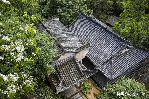 学霸对不出的对联,上联 山中藏古院,下联 请诗友赐墨