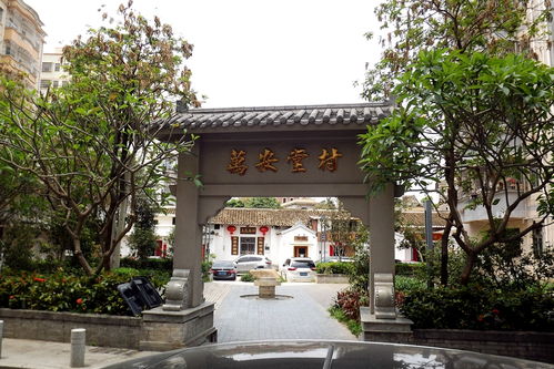 观澜古墟 城乡结合部