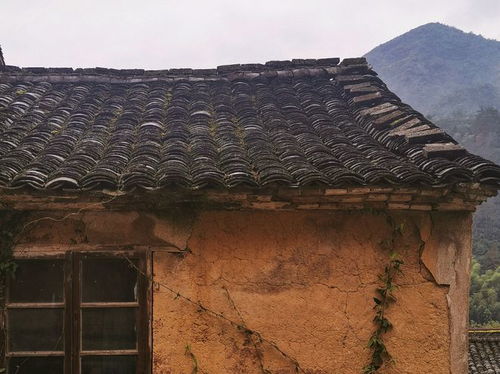 新昌古村落大起底 排名前十的宝藏地,你打卡了几个
