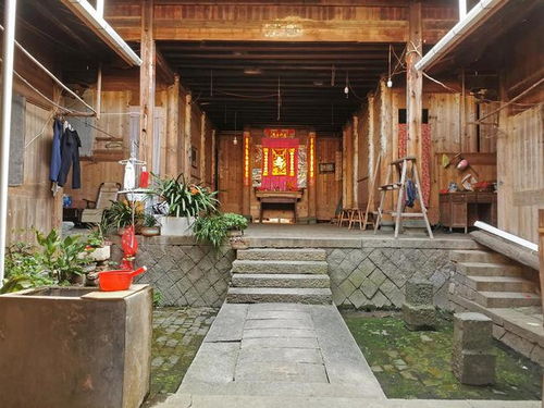 福建有个桃花源,藏在古田深山里的千年古村,古代就以桃花闻名