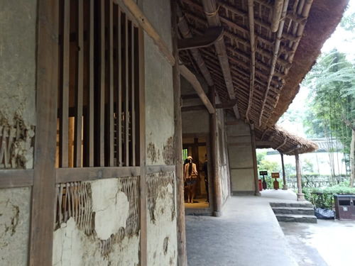 闹市隐庐 成都古巷深处，文豪故居的诗意栖居