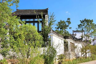 庭院深深深几许 中国人的小院子，小日子与幸福观